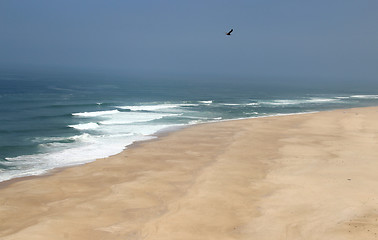 Image showing Wild beach in Nazare, Portugal 