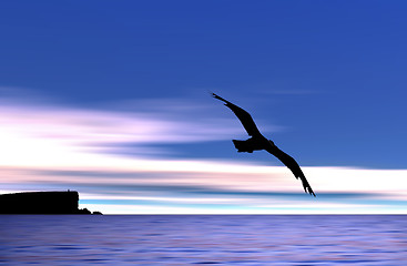 Image showing Gull flying