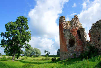 Image showing Ruins and tree