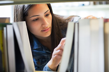 Image showing Hispanic college student