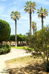 Image showing gardens walkway in waterfront Oasis Park El Kantaoui Sousse Tuni