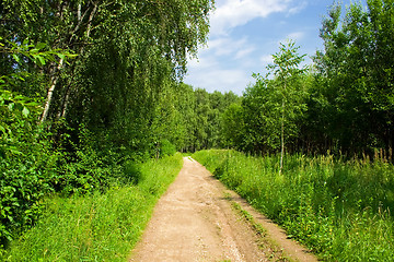 Image showing The road in the forest