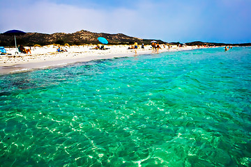 Image showing Sardinia