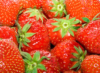 Image showing Strawberry