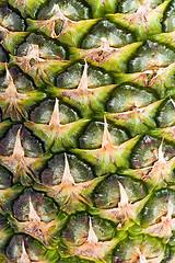 Image showing Pineapple