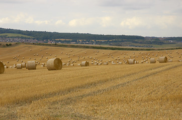 Image showing Rolls of hay