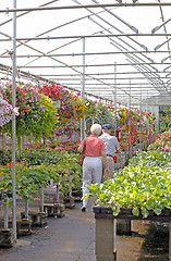 Image showing Elderly Couple-Greenhouse