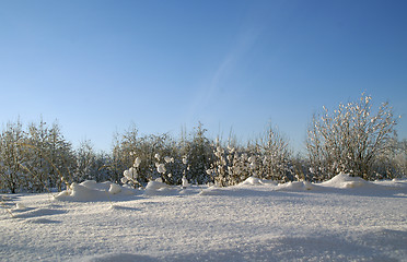 Image showing Sparkling snow. Poster landscape