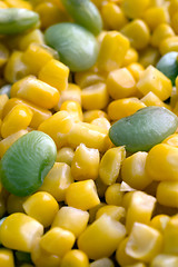 Image showing succotash