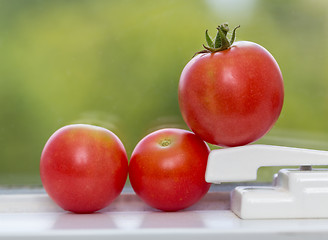 Image showing Row of tomatoes on window sill