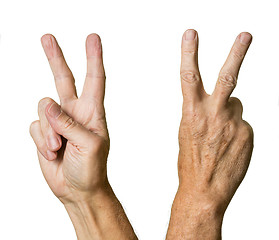 Image showing Pair of senior caucasian hands