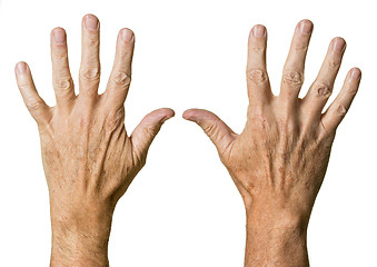 Image showing Pair of senior caucasian hands