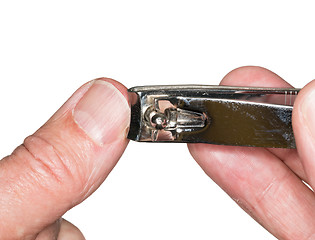 Image showing Macro isolated cutting thumb nail