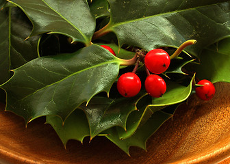 Image showing Holly