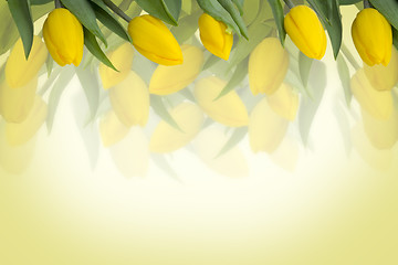 Image showing Yellow tulips