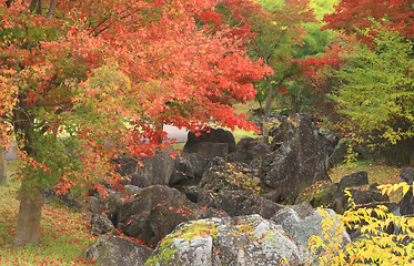 Image showing Autumn Japanese garden