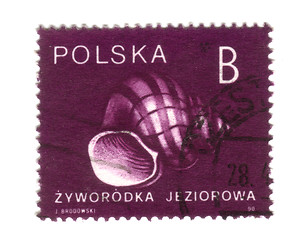 Image showing POLAND - CIRCA 1990: A stamp printed in POLAND shows snail, circ