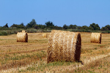 Image showing Hay bales