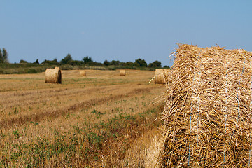 Image showing Hay bales