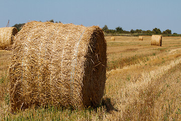 Image showing Hay bales