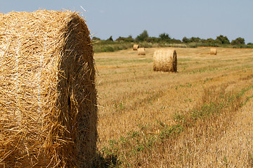 Image showing Hay bales