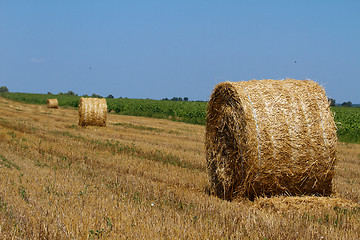 Image showing Hay bales