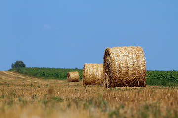 Image showing Hay bales