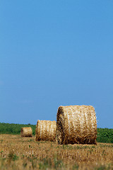 Image showing Hay bales