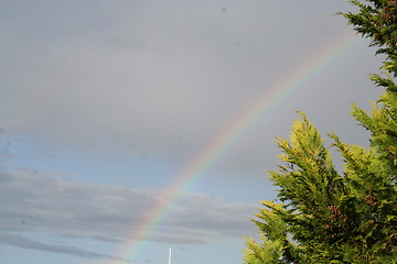 Image showing Rainbow