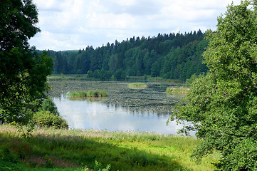 Image showing Old pond