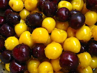 Image showing Berries of a fresh cherry