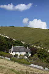 Image showing Thatched house