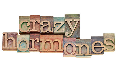 Image showing crazy hormones text  in wood type