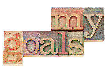 Image showing my goals text in wood type