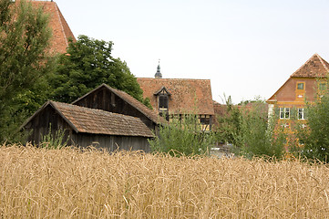 Image showing Spelt