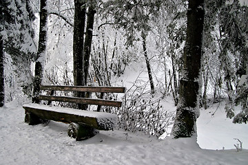 Image showing Bench in Snow