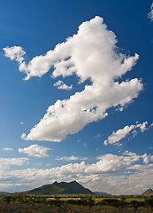 Image showing African Landscape