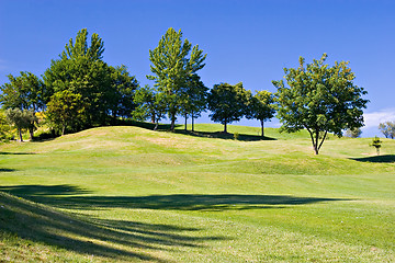 Image showing Trees