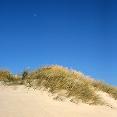 Image showing Dune