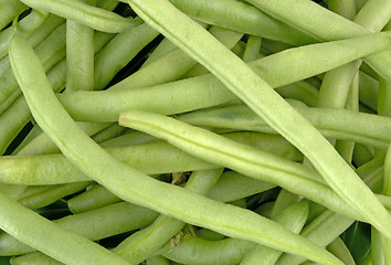 Image showing Beans-Snap Green