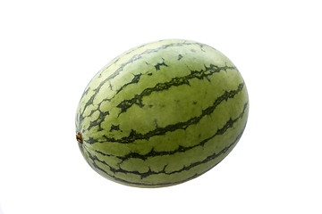 Image showing Fresh Watermelon