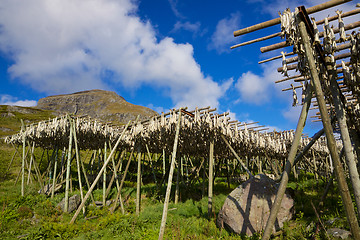 Image showing Stockfish