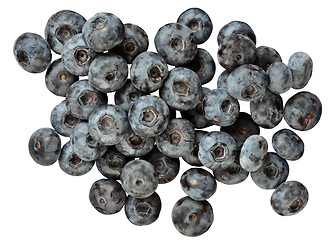 Image showing Blue huckleberry