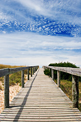 Image showing Wood Path