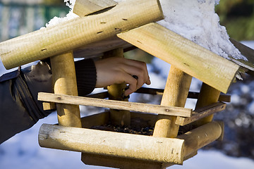 Image showing Bird feeder