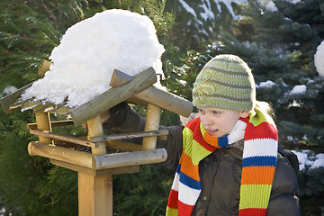 Image showing Bird feeder