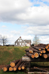 Image showing Countryside scenic