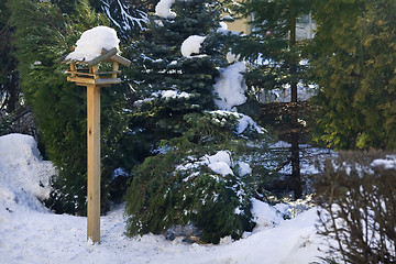 Image showing Bird feeder