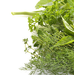 Image showing Fresh Herbs