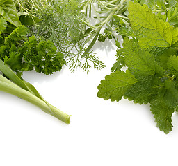 Image showing Fresh Herbs